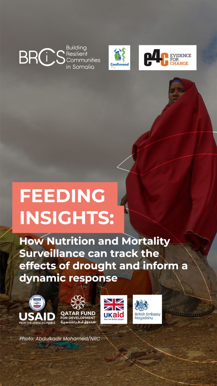 An assessment of heat action plans: Global standards, good practices and partnerships – ReliefWeb